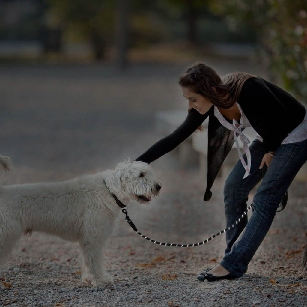 5 Ft. Dog Leash with Foam Handle