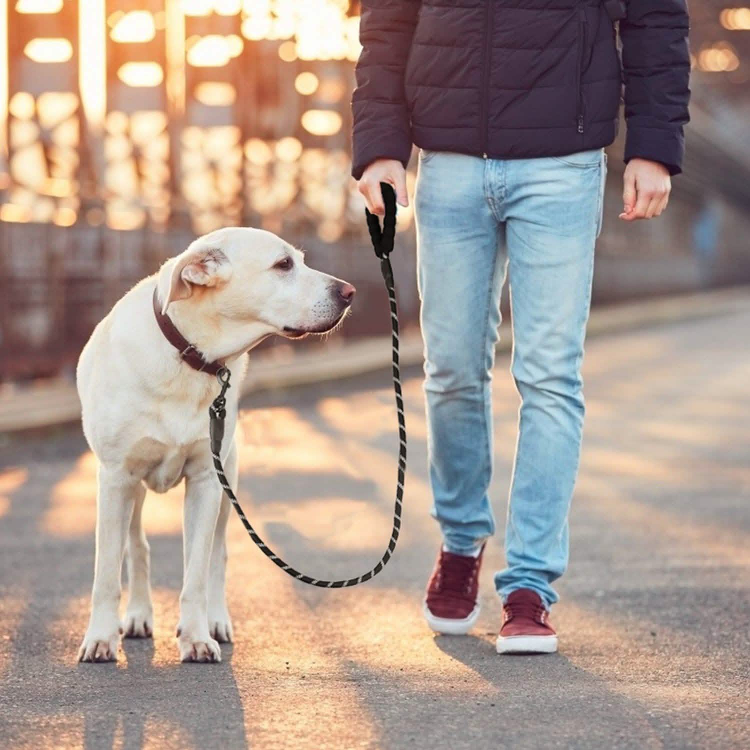 5 Ft. Dog Leash with Foam Handle