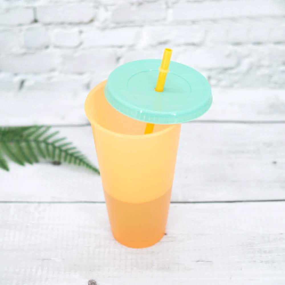 5-Pack: Colorful Drinking Cup with Lid and Straw