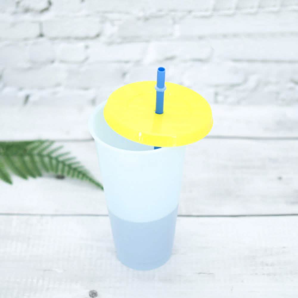 5-Pack: Colorful Drinking Cup with Lid and Straw
