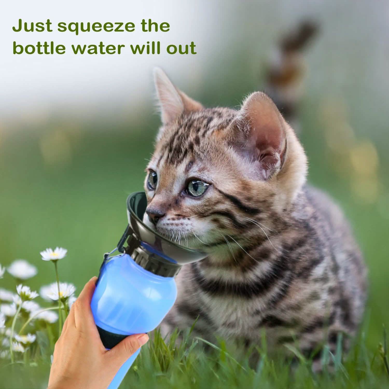 500ml Pet Water Bottle Portable Water Cup