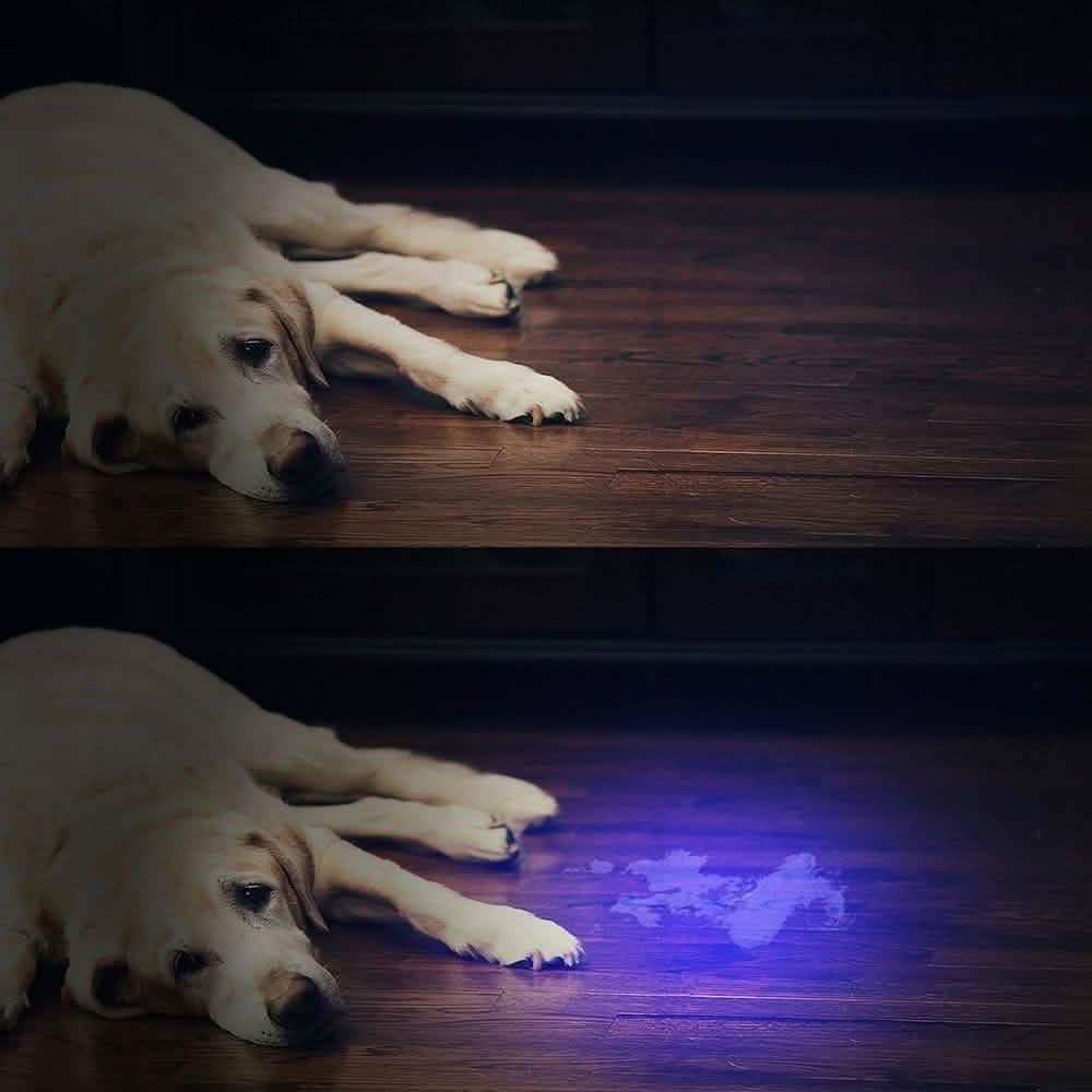 51 LED Ultraviolet Blacklight