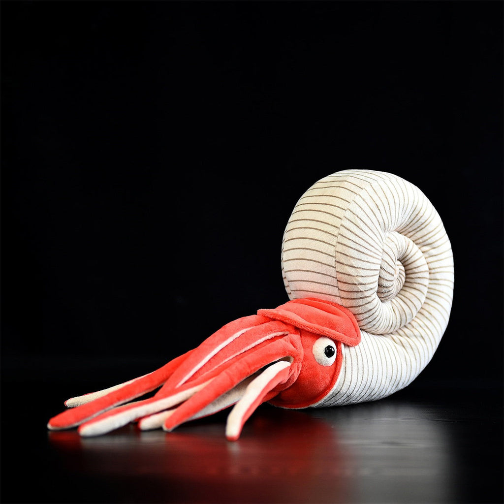 Paleontology Series Ammonite Plush Toys
