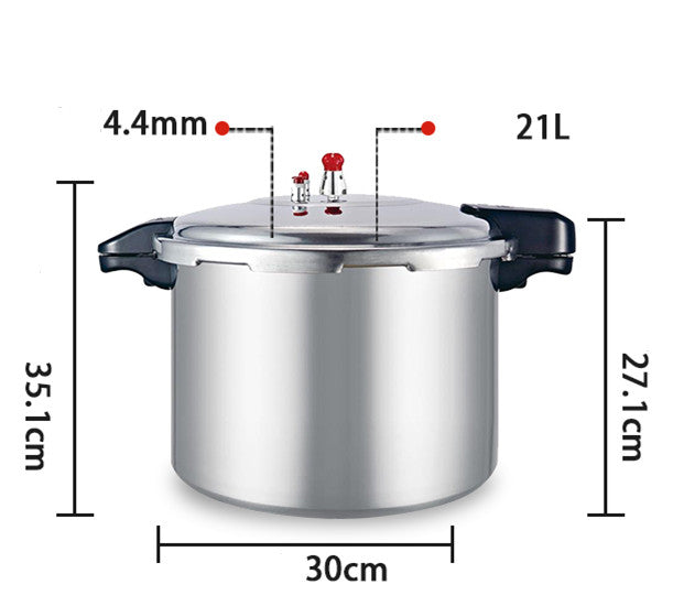 Sleek, Modern, High-Capacity Gas Induction Cooker – A Universal Design