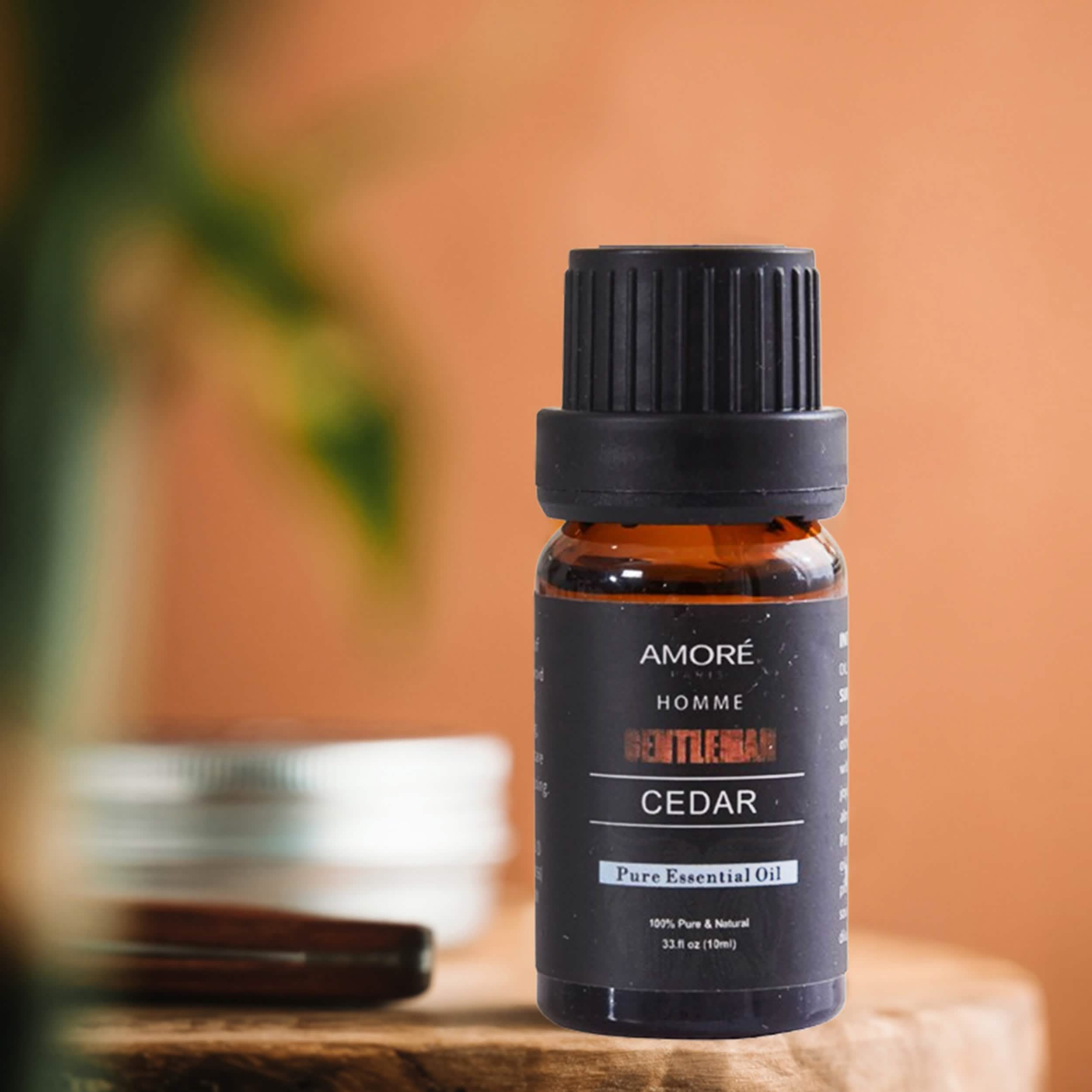 6-Pack: Gentlemen's 10ml Premium Grade Fragrance Essential Oil Gift Set