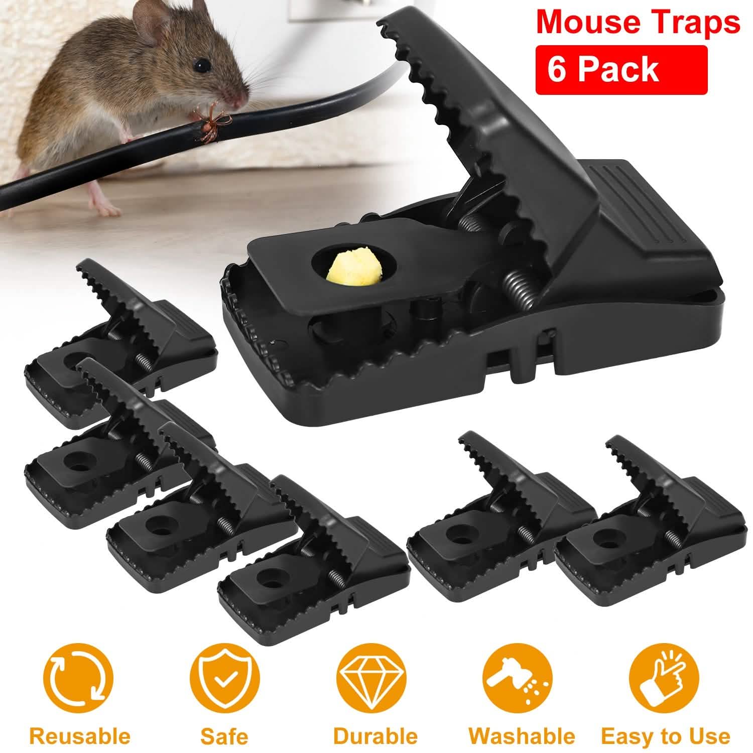 6-Pack: Reusable Mouse Trap
