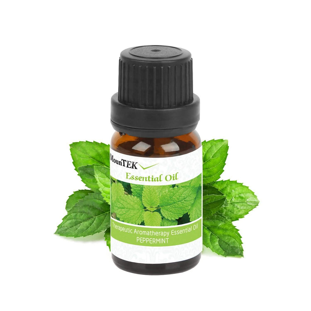 6-Pack: Therapeutic Aromatherapy Essential Oils Bottle