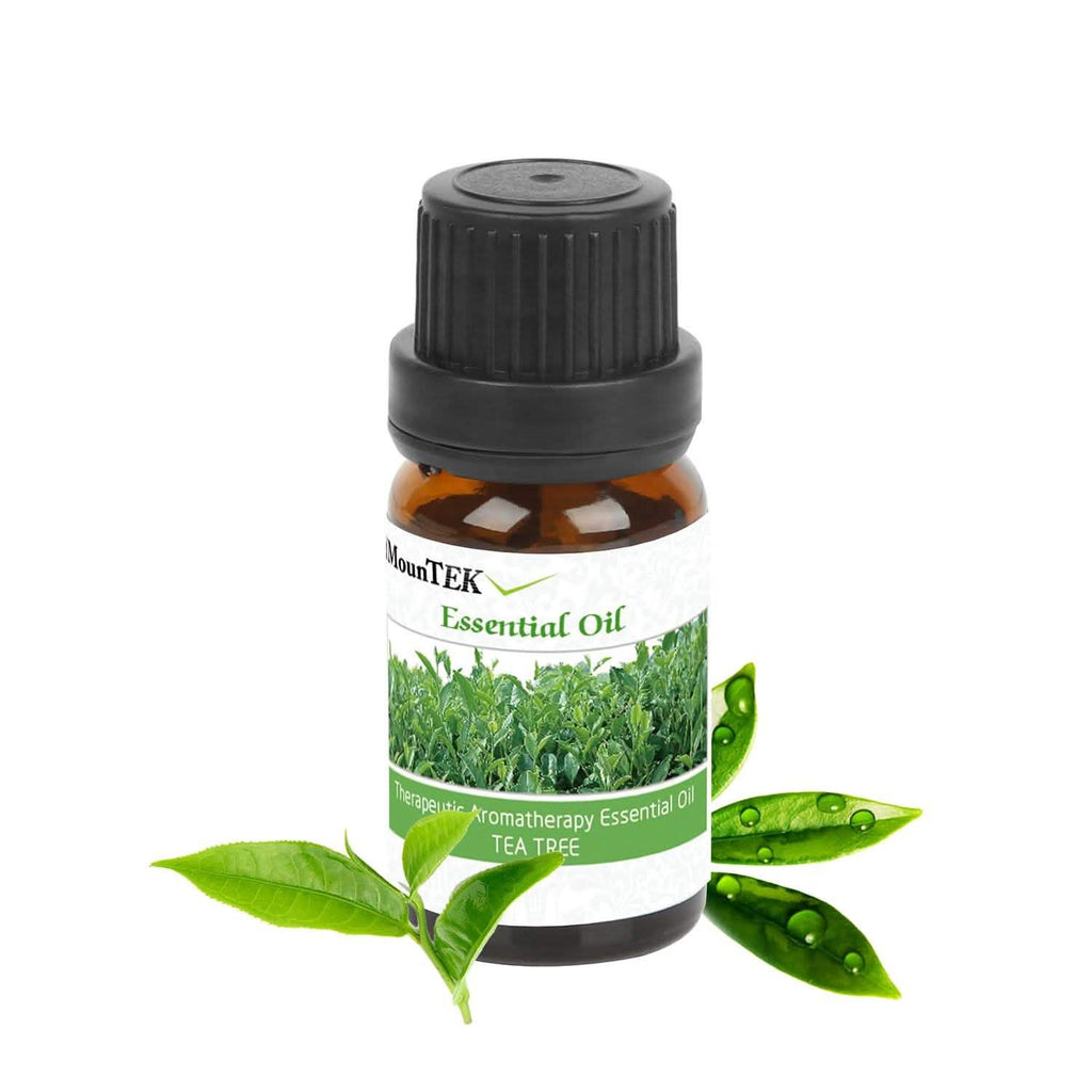 6-Pack: Therapeutic Aromatherapy Essential Oils Bottle