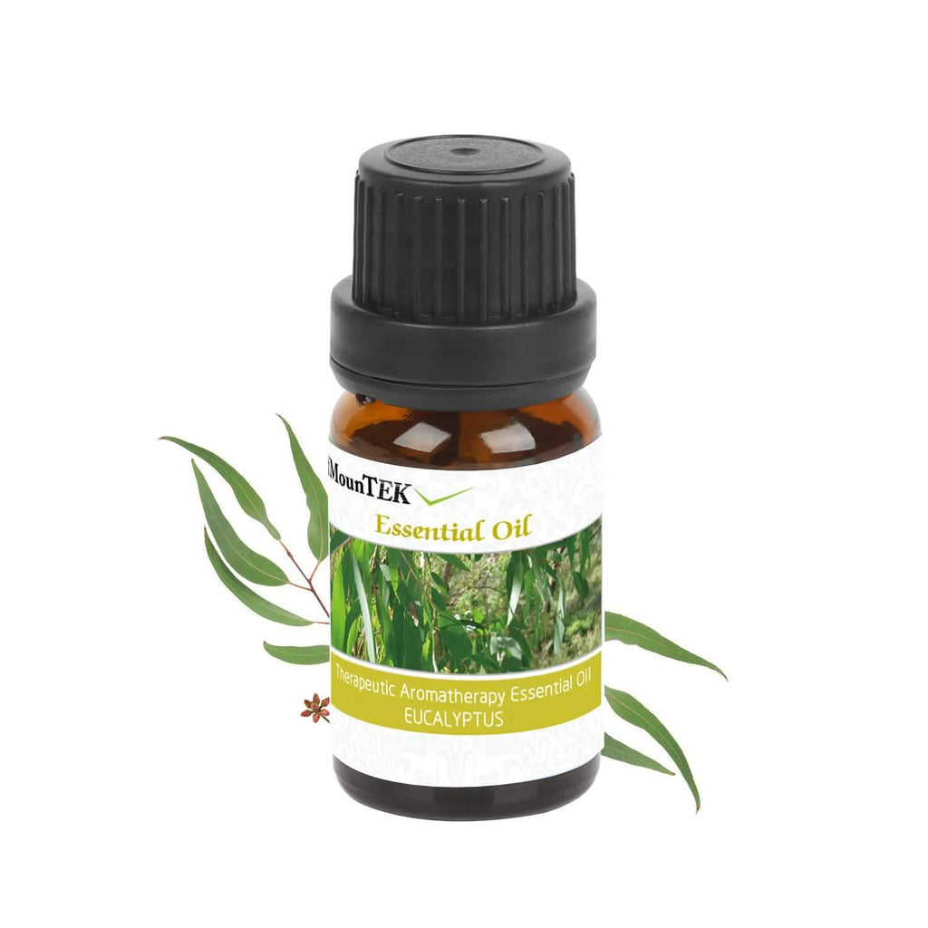6-Pack: Therapeutic Aromatherapy Essential Oils Bottle