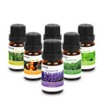 6-Pack: Therapeutic Aromatherapy Essential Oils Bottle