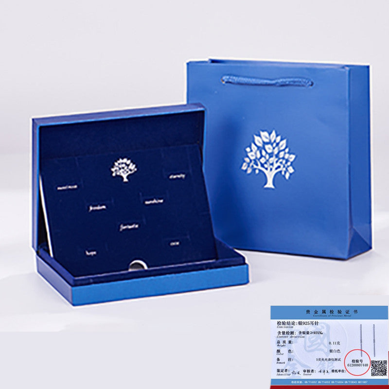 Female Earring Gift Box Tassel Trendy