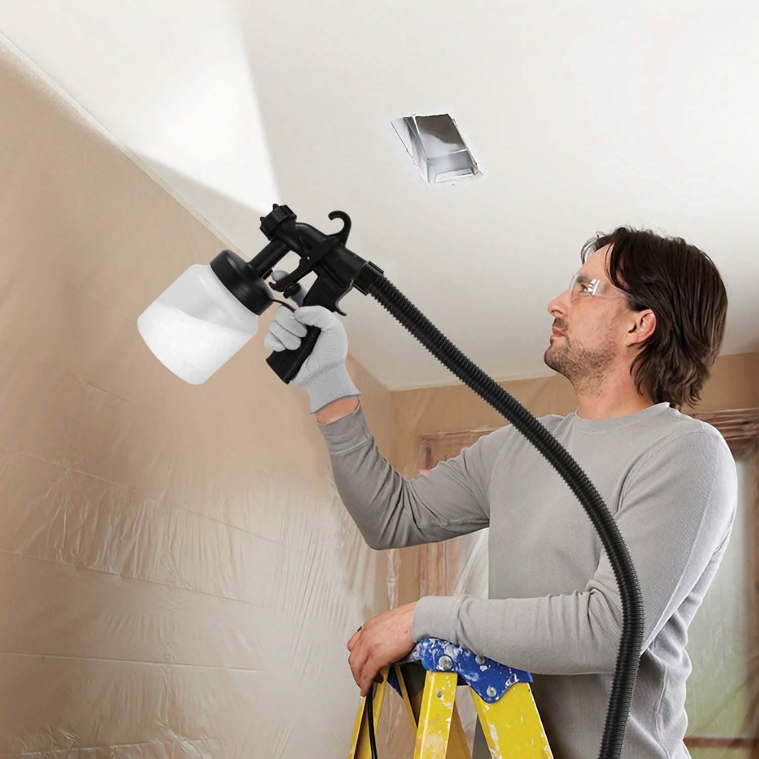 650W/800ML Paint Sprayer