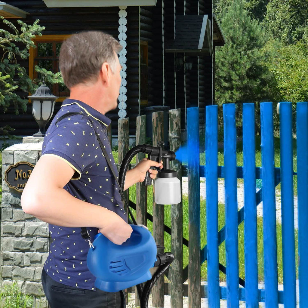 650W/800ML Paint Sprayer
