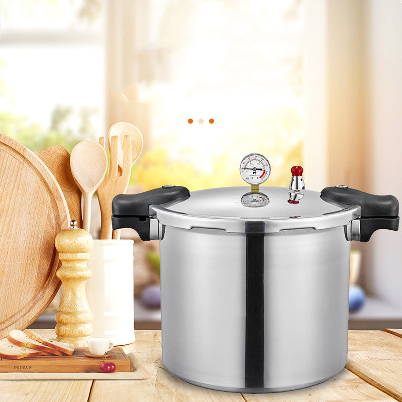 Sleek, Modern, High-Capacity Gas Induction Cooker – A Universal Design