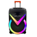 WGAOYANG 18" Portable Bluetooth Speaker WGY-1801AA (RGB Lights)