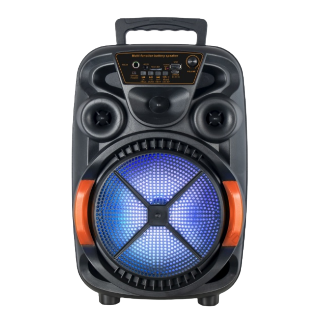 8" Portable Bluetooth Speaker CH-813
