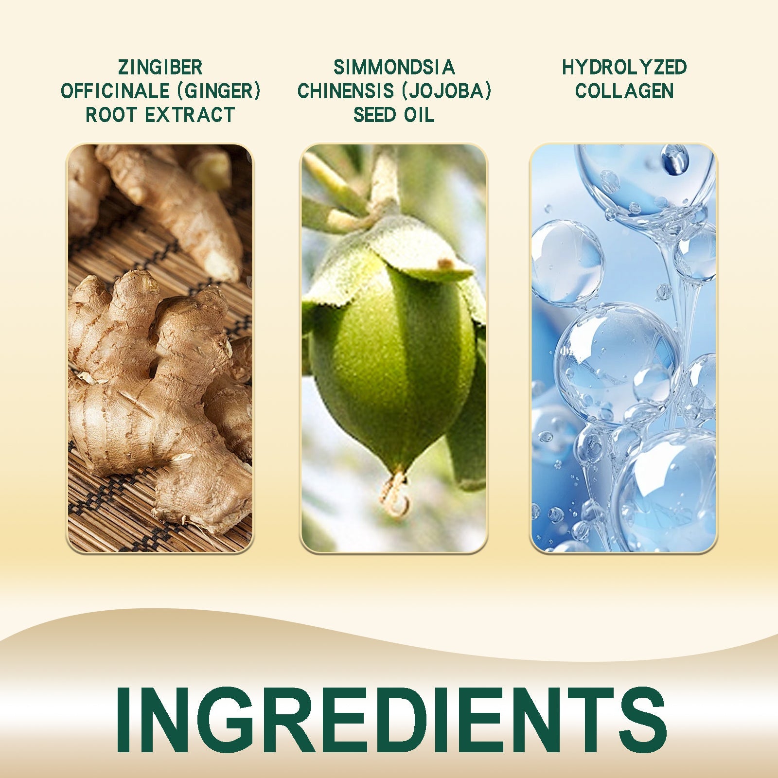 Ginger Hair Ointment, Care For Hair Follicles, Strengthen Hair, Moisturize Hair, Prevent Hair Breakage And Dense Hair Care Cream
