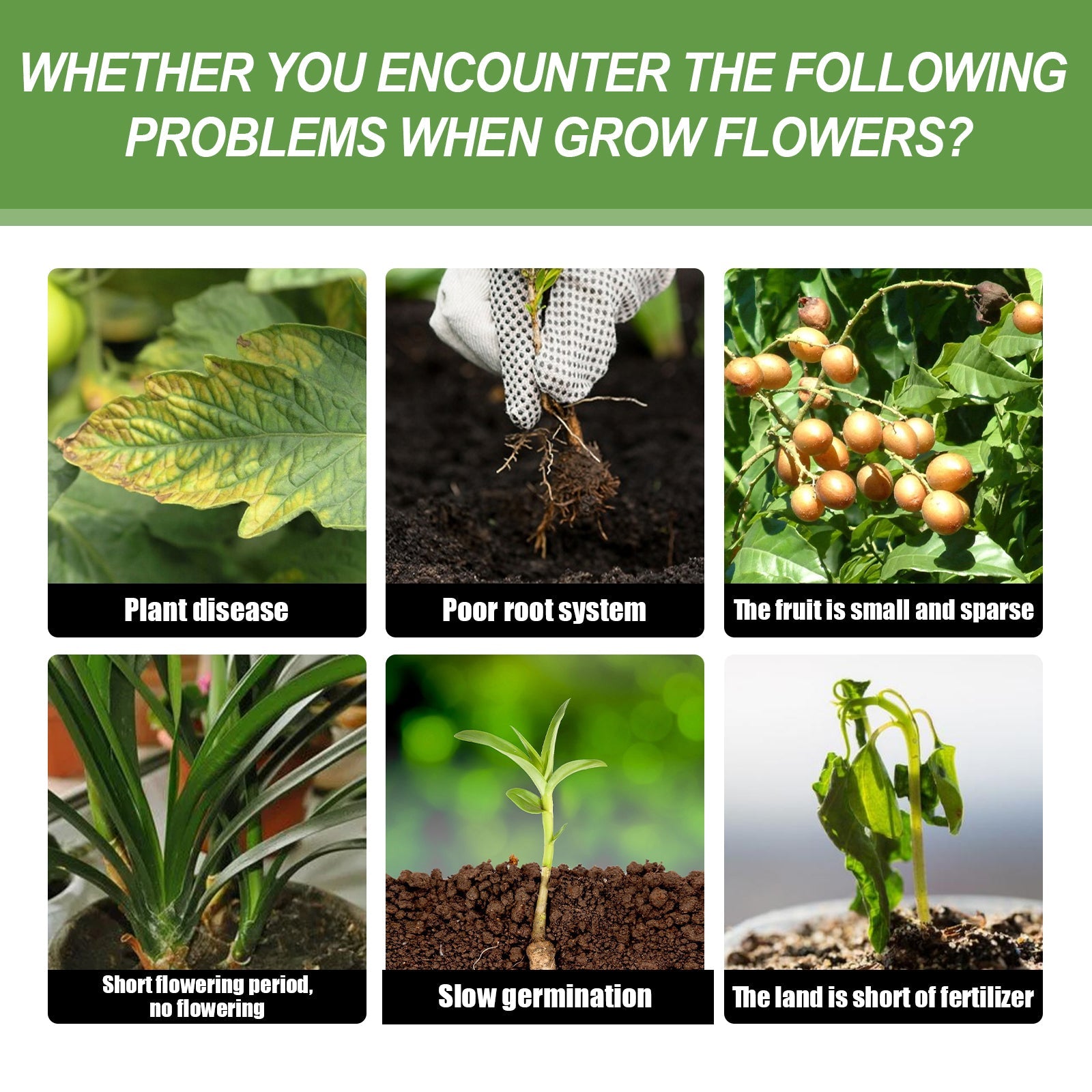Plant Nutrient, Flower Pot Lawn Green Leaf Plant Fertilizer Root Growth Nutrient