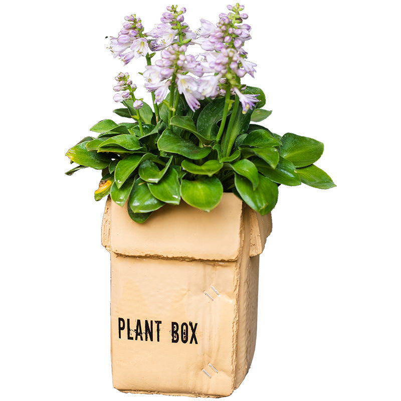 Cement Brown Paper Box Flowerpot Creative Planting Indoor Balcony