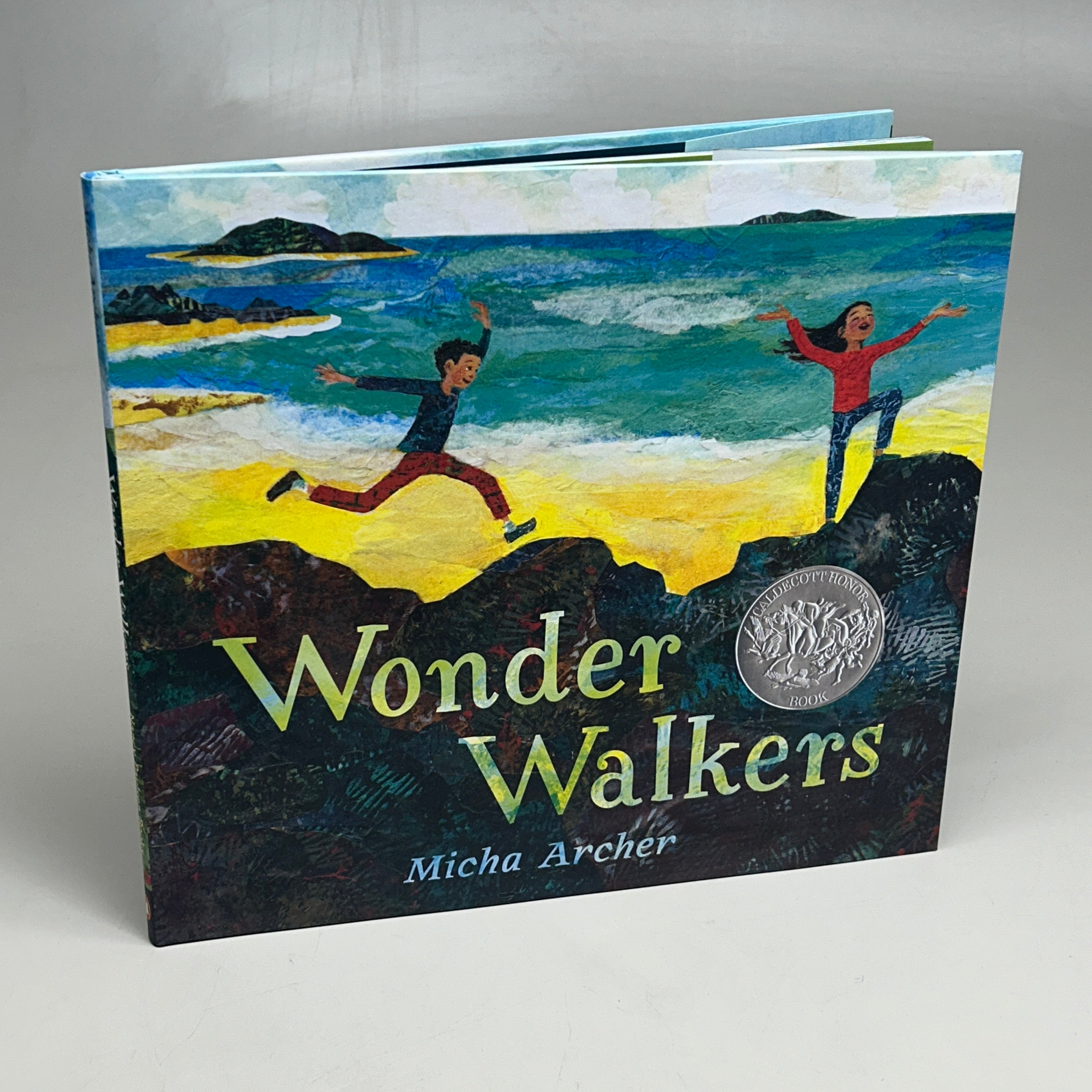 WONDER WALKERS By Micha Archer Hardcover (New)