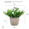 Simulation Starry Mini Pulp Pot Plastic Green Plant