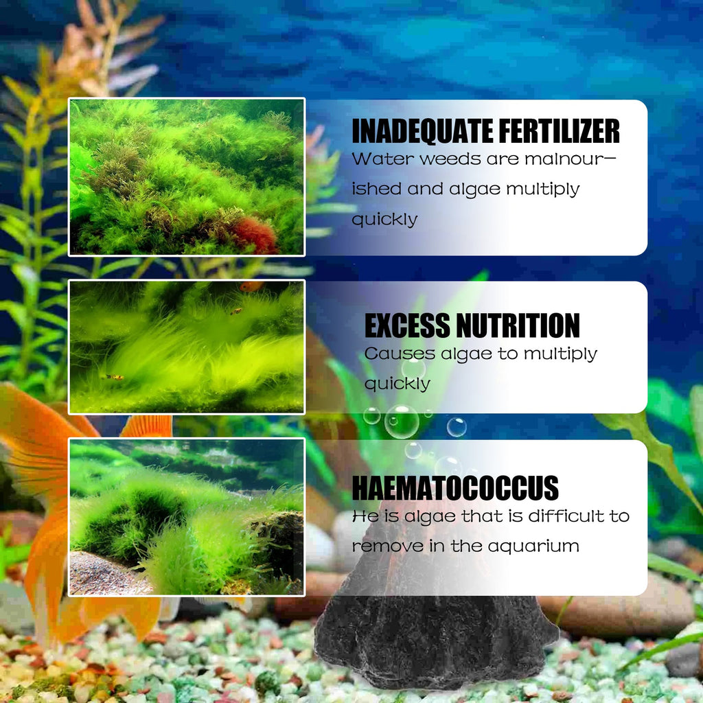 Dealgal Lichen, Aquarium Cleaning Agent Algae Removal Moss Fish Tank Moss Removal Agent Algae Removal From Green Water