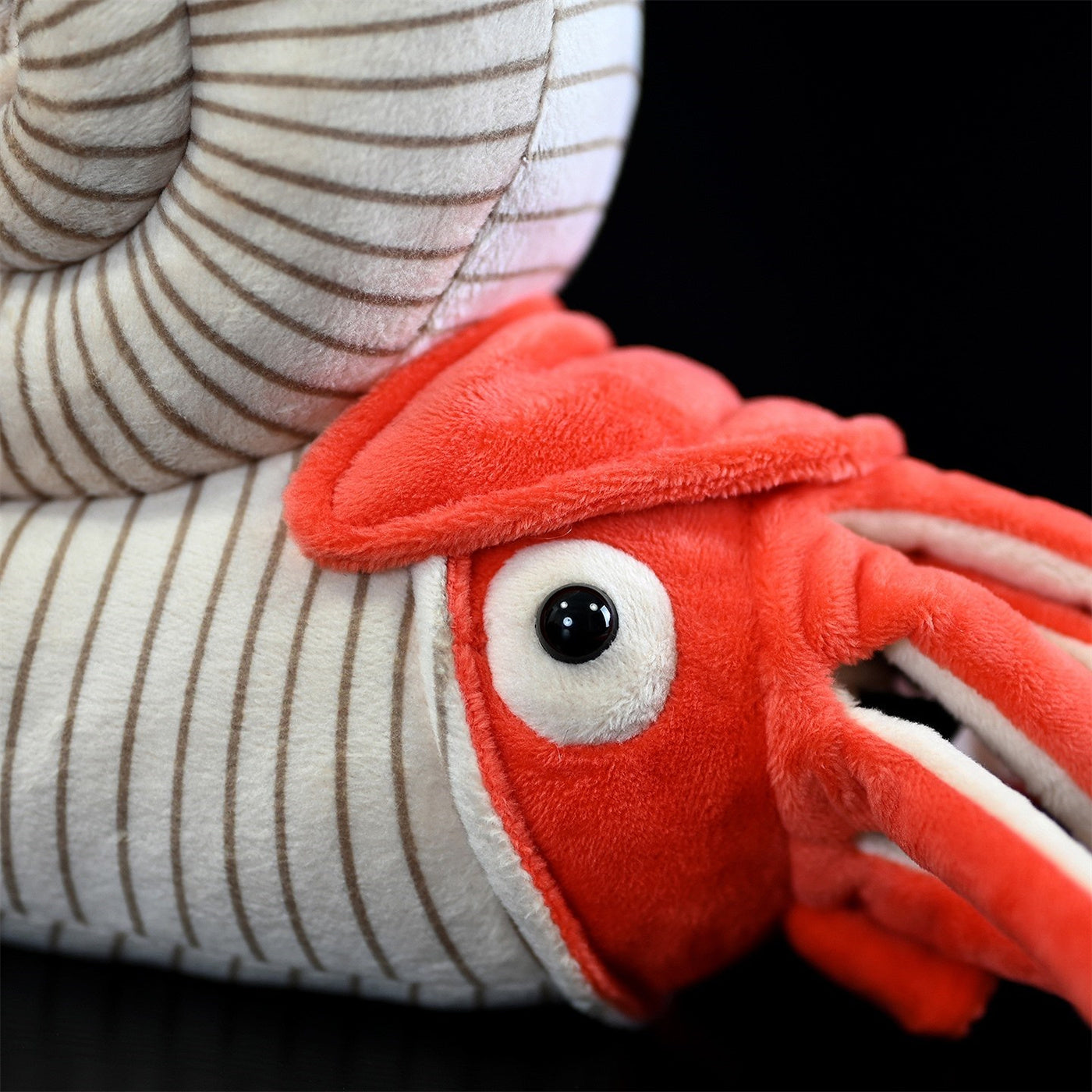 Paleontology Series Ammonite Plush Toys
