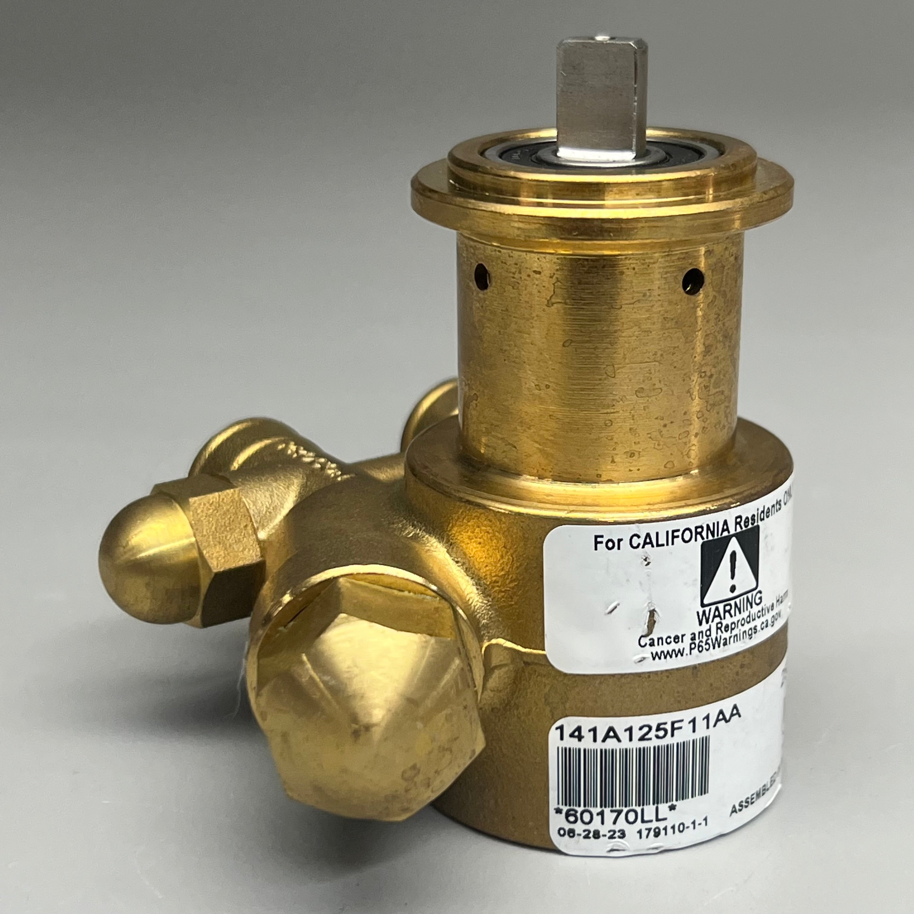 PROCON Rotary Vane Pump Brass Valves 141A125F11AA 250 PSI 60170LL SST 1046-2 BTS LL4