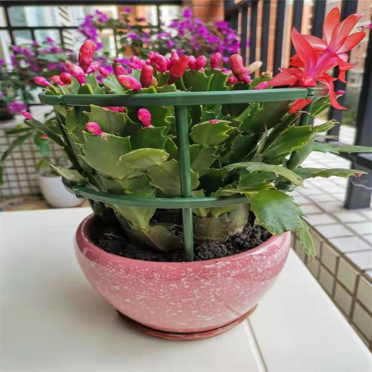 Climbing Vine Support Pile Garden Trellis