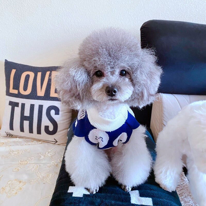 Teddy/Bichon/Maltese Winter Warm Sweater - Cute Fruit-Print Knit