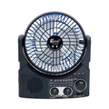 BreezePlay Fan Radio AA2024-0432
