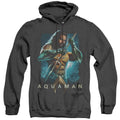 Aquaman Movie Trident Heather Mens Hoodie Black Officially Licensed
