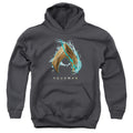 Aquaman Movie Water Shield Kids Youth Hoodie Charcoal Officially Licensed