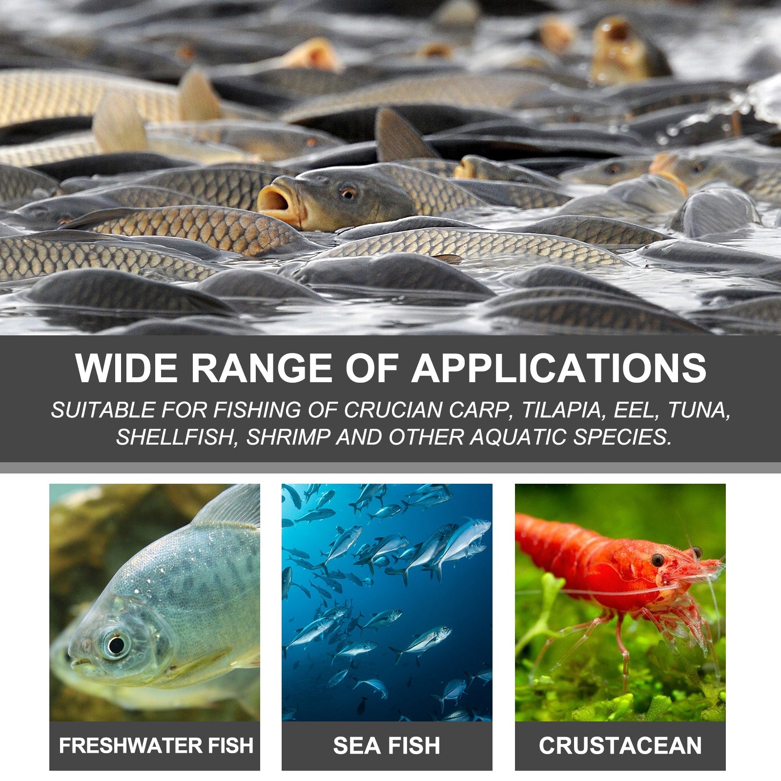 Bait Attractant, Reservoir Bait Fishing Bait Fish Portable Fish Primer