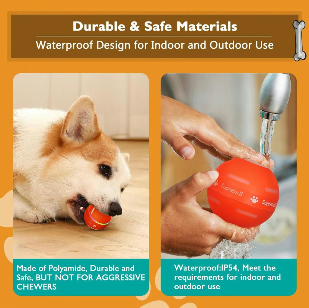 SmartRoll Pet Ball