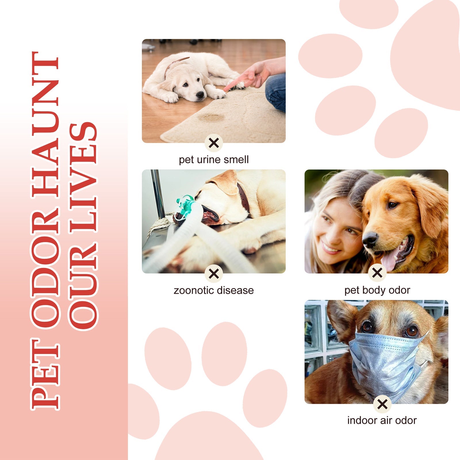 Pet Deodorant Spray, Indoor Cat And Dog Deodorizer Stay Fragrance Refreshing Spray
