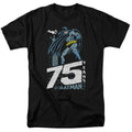 Batman Rooftop Mens T Shirt Black Officially Licensed