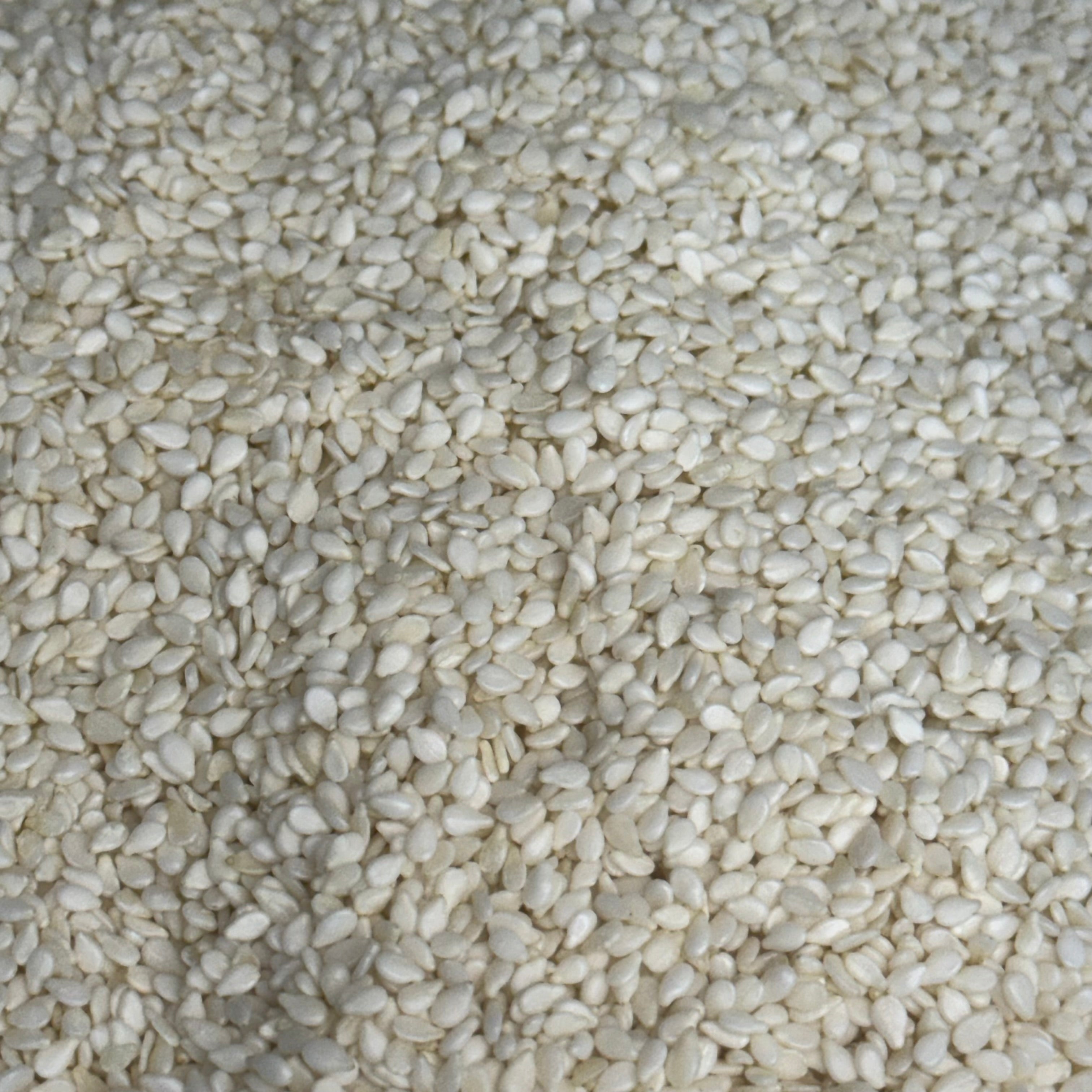 BAKESENSE Hulled Sesame Seeds 10 Lbs 73246