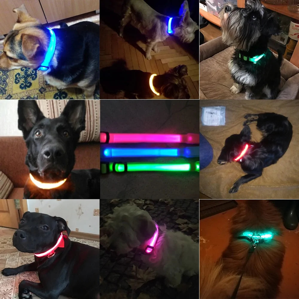 LED Dog Collar - Anti-Lost Rechargeable Safety Light-Up Collar for Night Walks