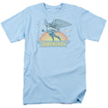 DC Comics Hawkwoman Mens T Shirt Light Blue Officially Licensed