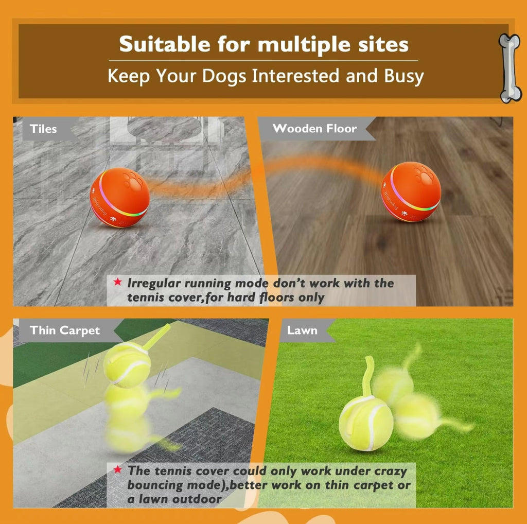 SmartRoll Pet Ball