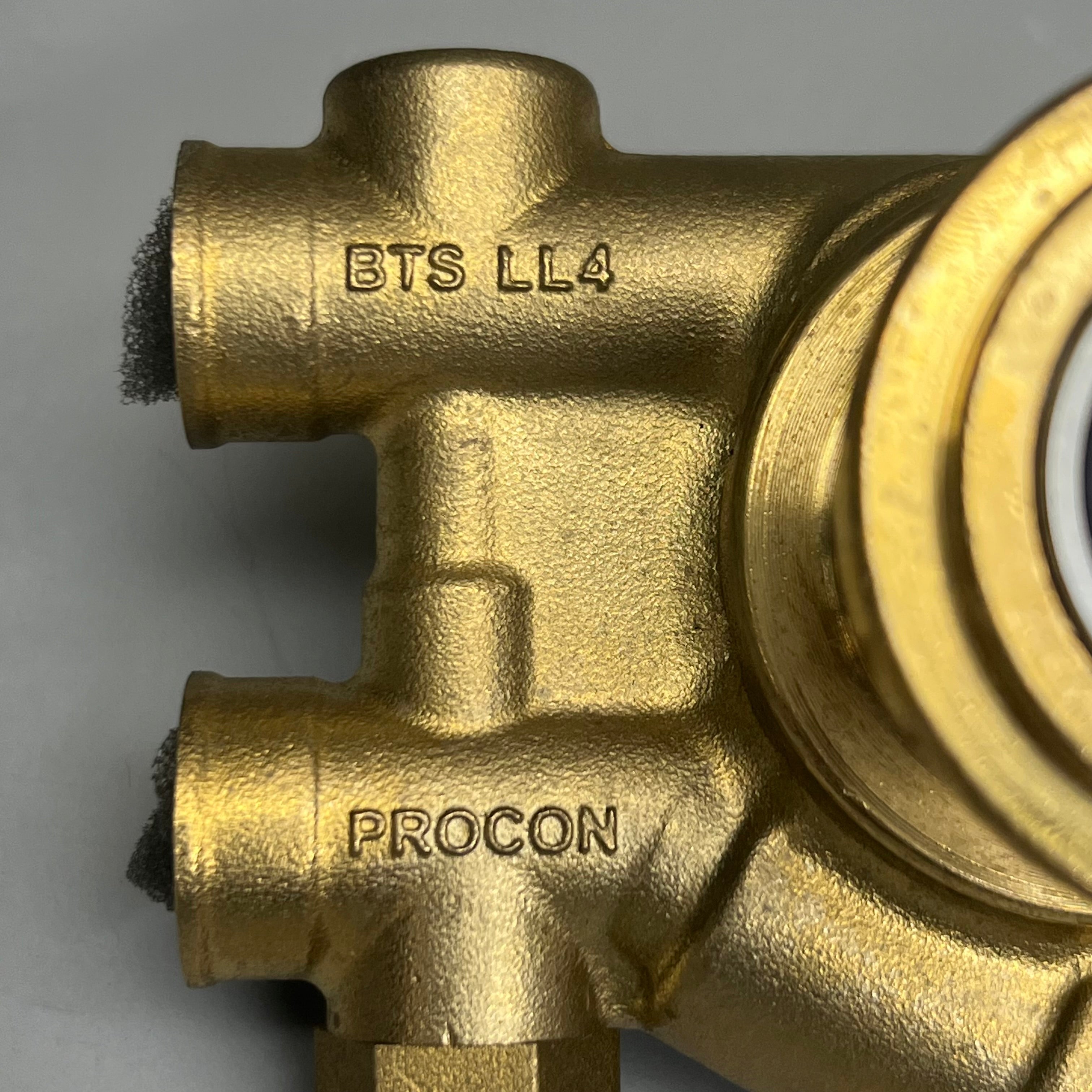 PROCON Rotary Vane Pump Brass Valves 141A125F11AA 250 PSI 60170LL SST 1046-2 BTS LL4