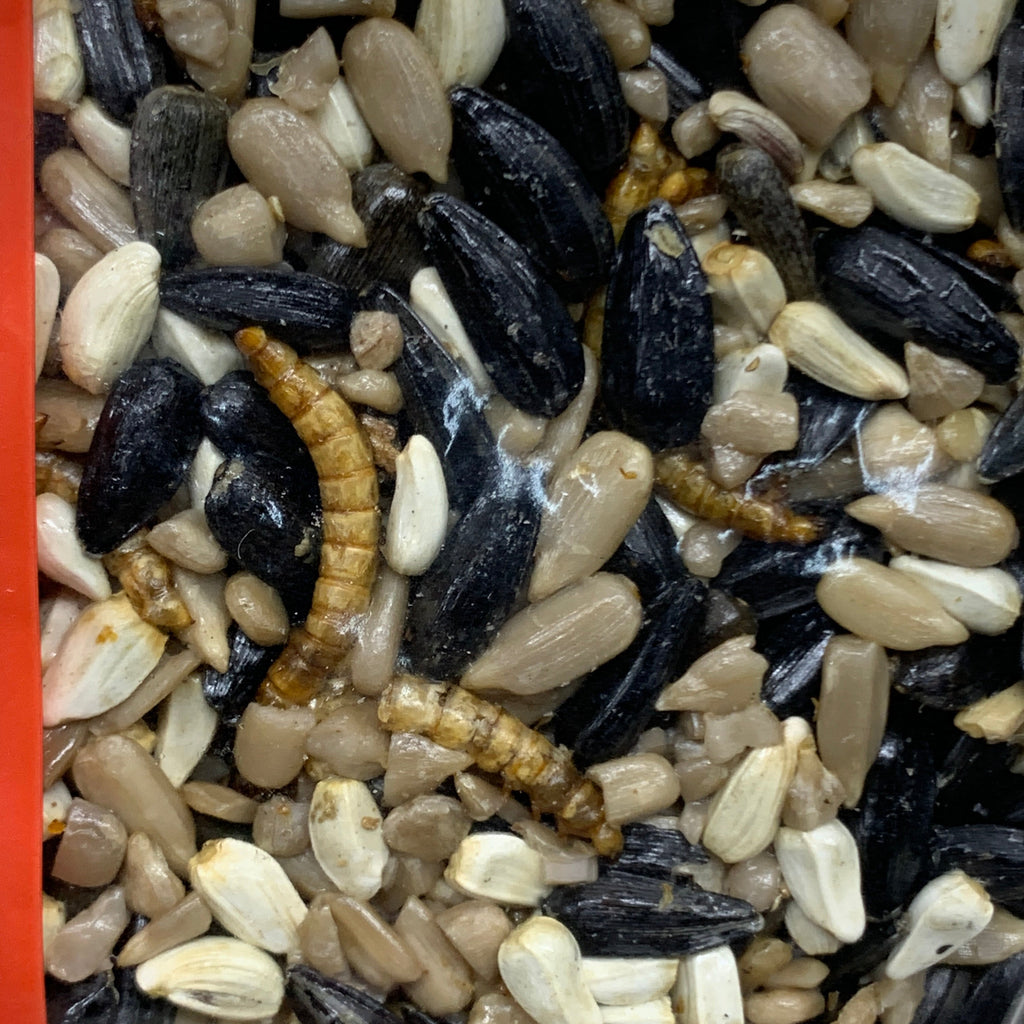HAPPY HEN (3 PACK) Treat Square Mealworm & Seed 6 oz 855297003407
