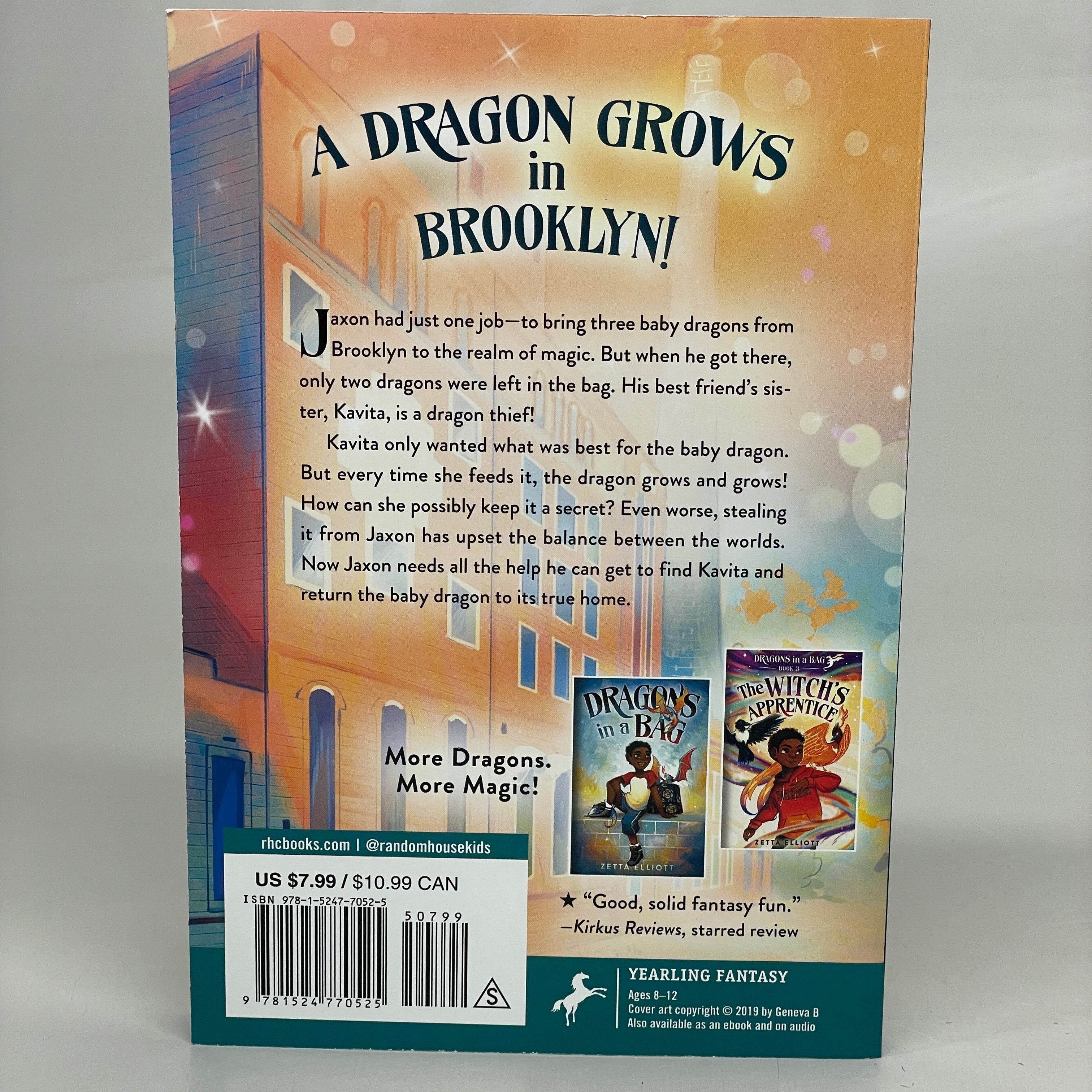 DRAGONS IN A BAG: THE DRAGON THIEF (2 Books) Paperback By Zetta Elliott