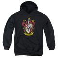 Harry Potter Gryffindor Crest Kids Youth Hoodie Black Officially Licensed