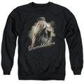Harry Potter Dumbledore Wand Mens Crewneck Sweatshirt Black Officially Licensed