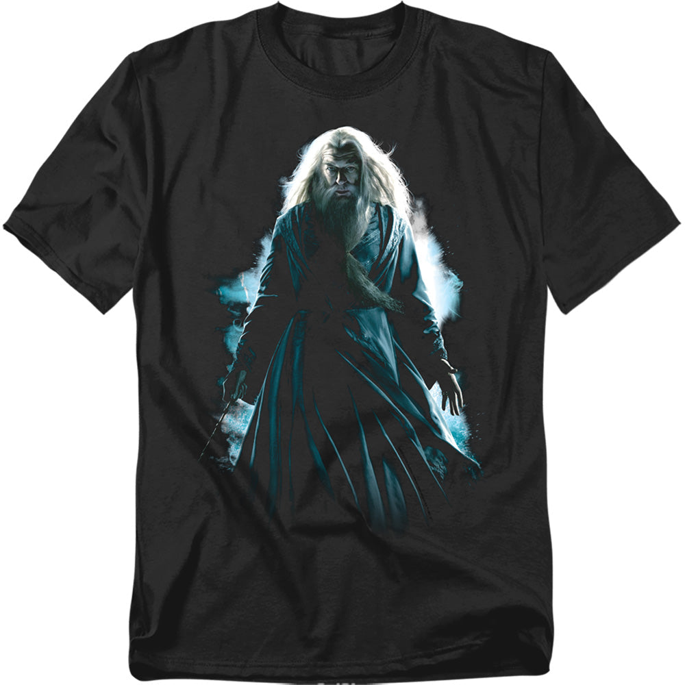 Harry Potter Dumbledore Burst Mens T Shirt Black Officially Licensed