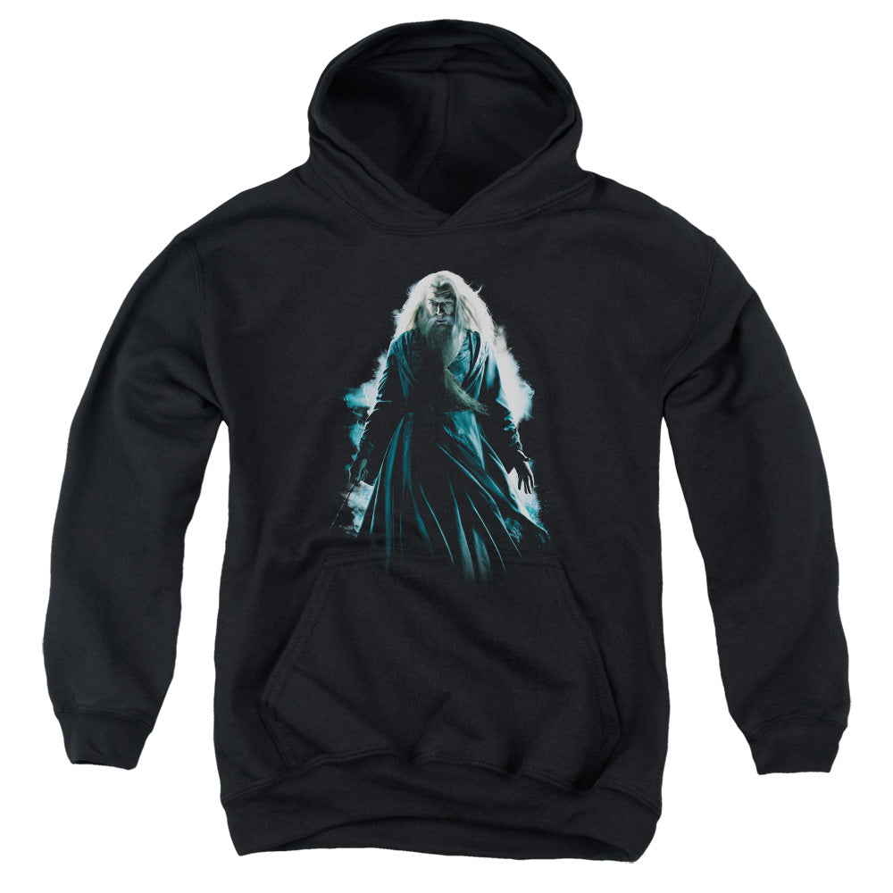 Harry Potter Dumbledore Burst Kids Youth Hoodie Black Officially Licensed