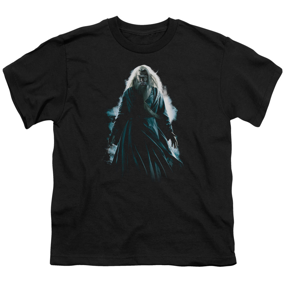 Harry Potter Dumbledore Burst Kids Youth T Shirt Black Officially Licensed
