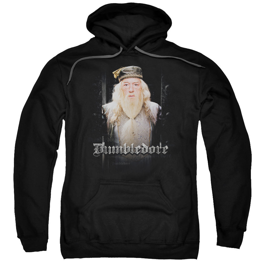 Harry Potter Dumble Doors Mens Hoodie Black Officially Licensed